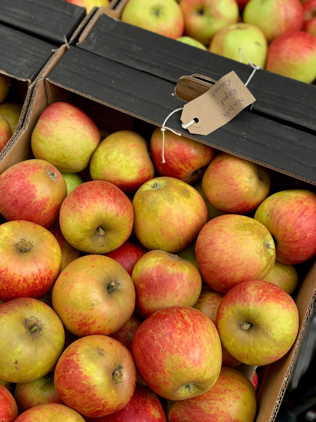 The Jam #5 Heavenly Apples