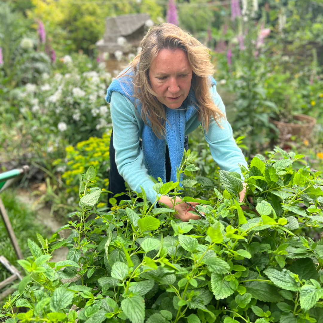 Adding Aromatics to Jam