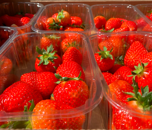 Strawberry Season